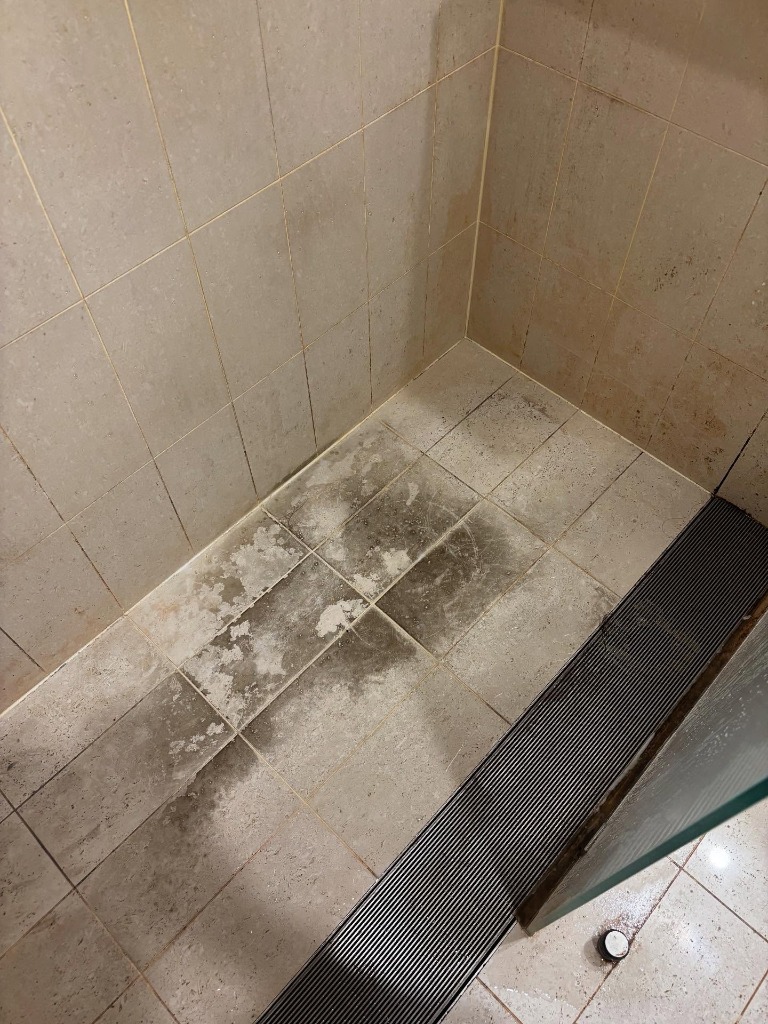 Before cleaning Sydney shower